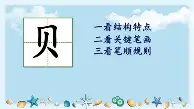 贝林厄姆赛事规则更新球迷热议(贝林厄姆视频)
